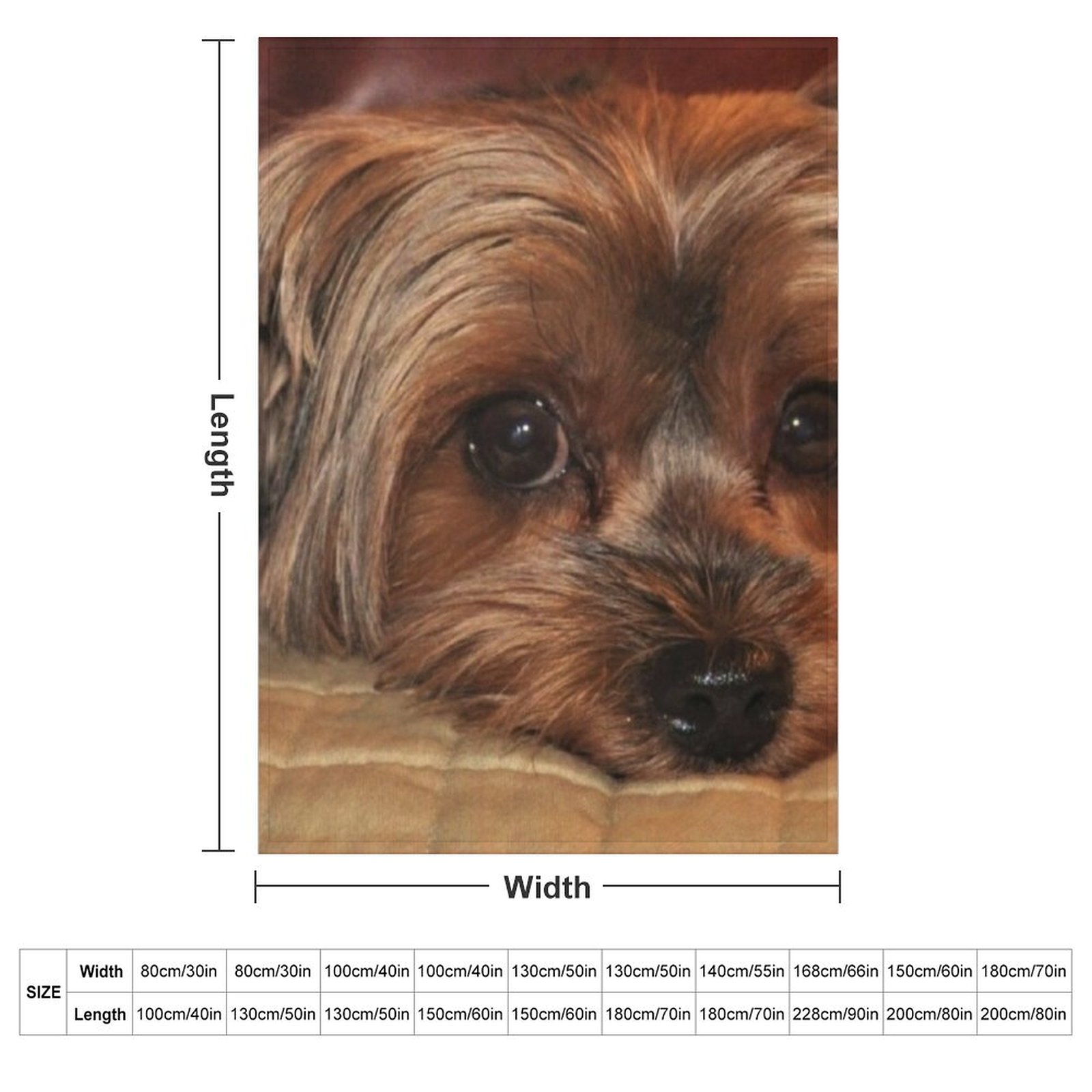 Cute Yorkshire Terrier Yorkie  - đánh giá và giá 3D Printing Yorkshire