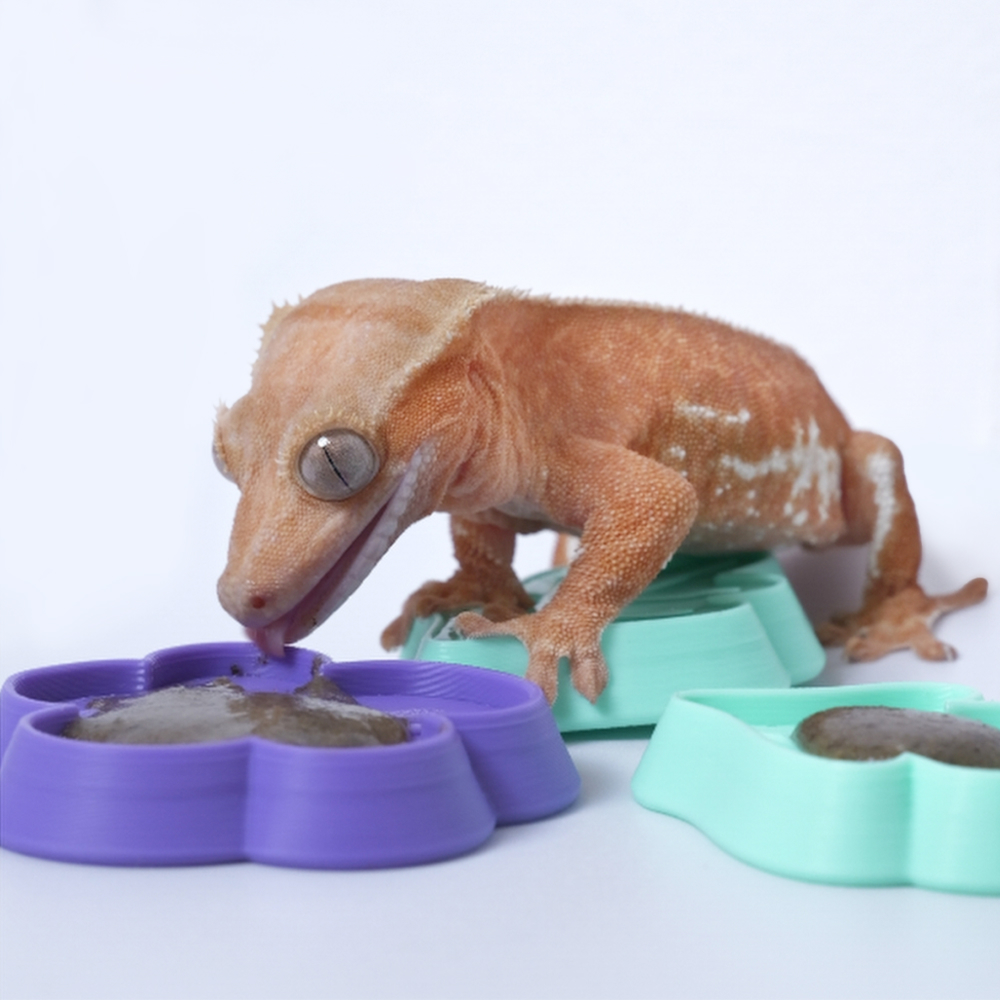 Reptile Feeding Dish, 3D Print - đánh giá và giá 3D Printing Food