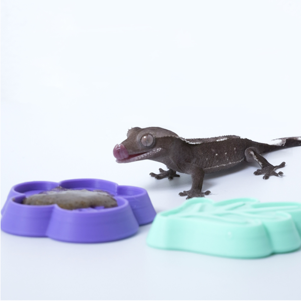 Reptile Feeding Dish, 3D Print - đánh giá và giá 3D Printing Food