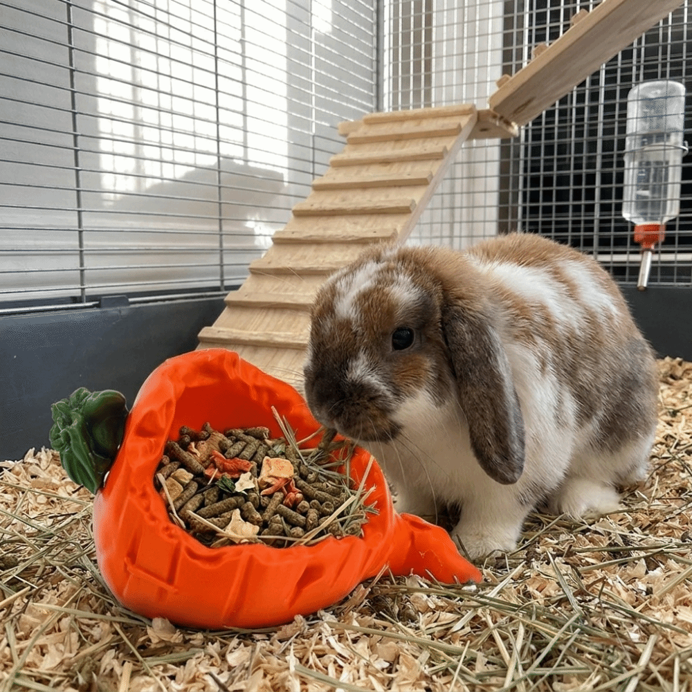 Cute 3D Printing Hamster Food  - đánh giá và giá 3D Printing Food
