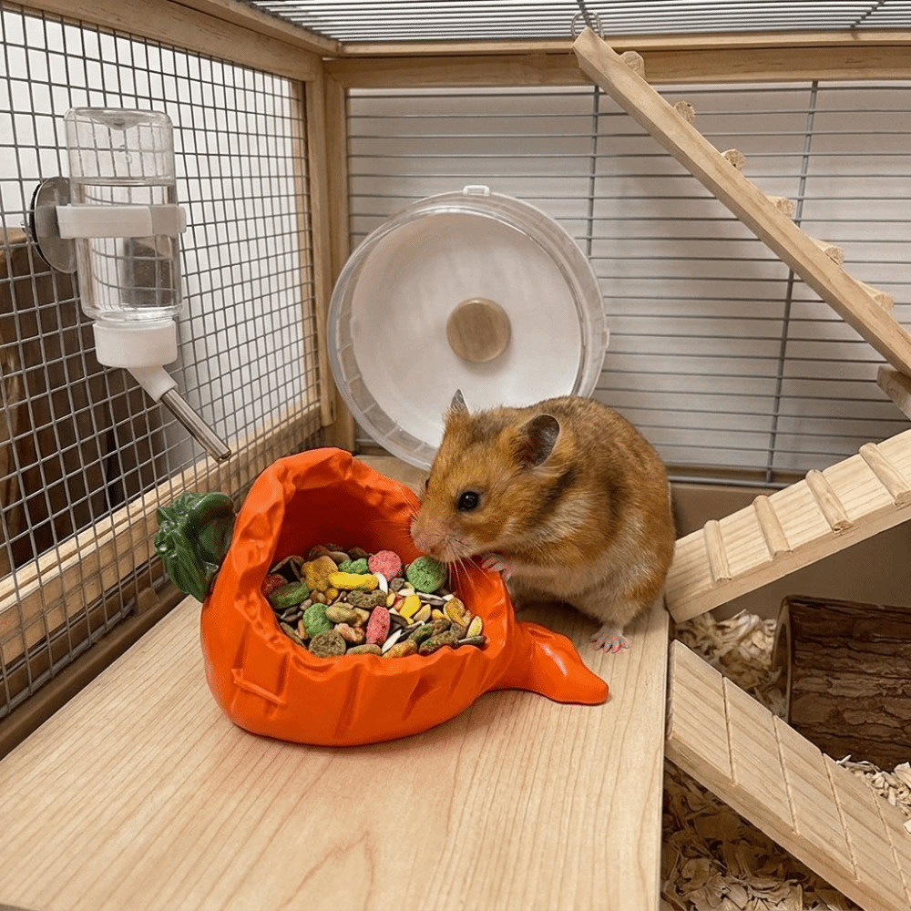 Cute 3D Printing Hamster Food  - đánh giá và giá 3D Printing Food